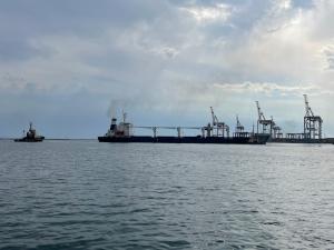 IMO welcomes first ship departure under Black Sea Grain Initiative