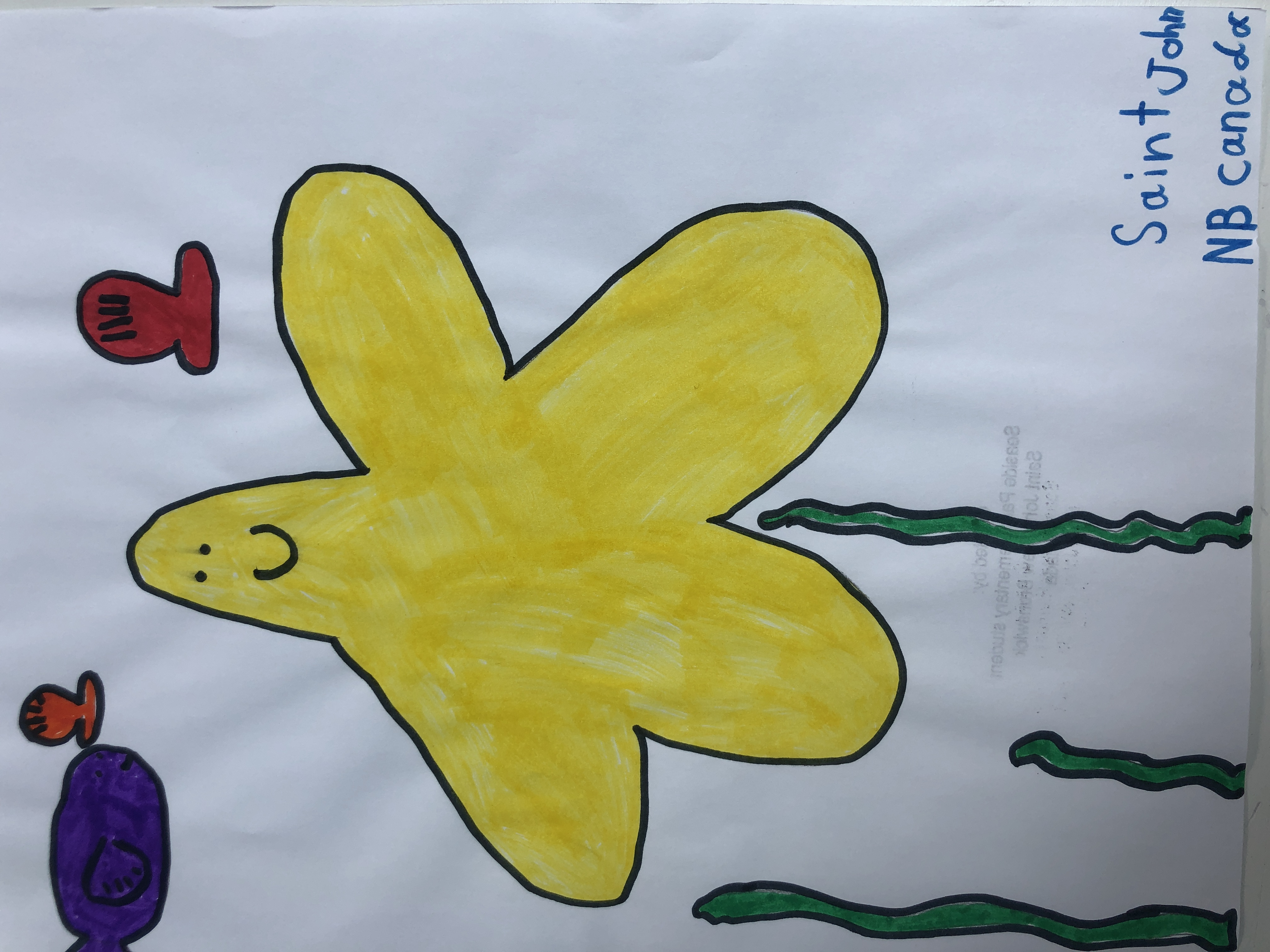 Seaside Park Elementary School Student, NB, Canada